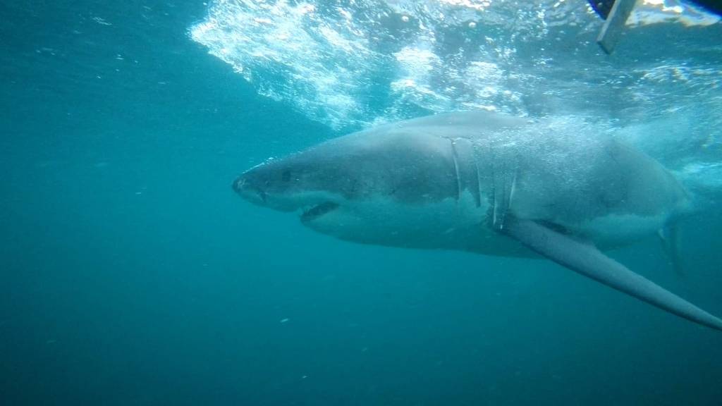 Exploring New Zealand’s South Island: Our Campervan Adventure Part&nbsp;5