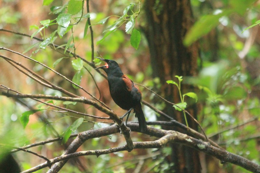 Exploring New Zealand’s South Island: Our Campervan Adventure Part&nbsp;6