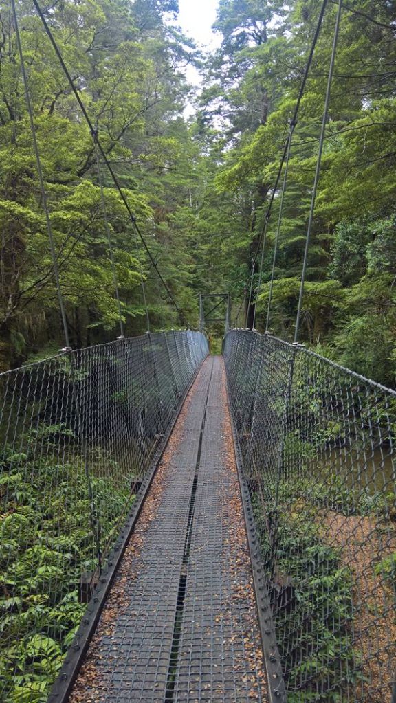 A suspension bridge on the Kepler Track