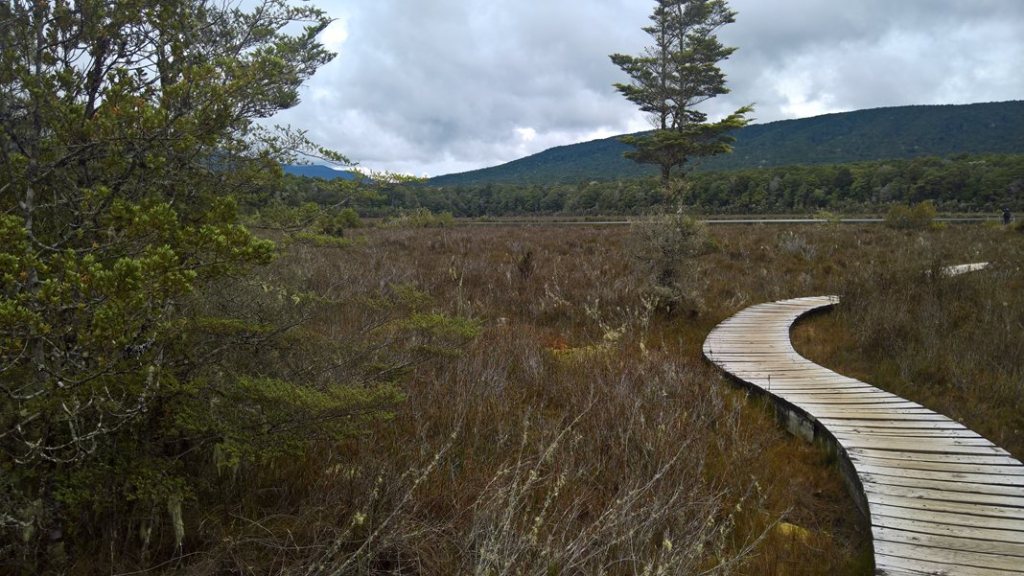 Wooden Track to Moturau Lake