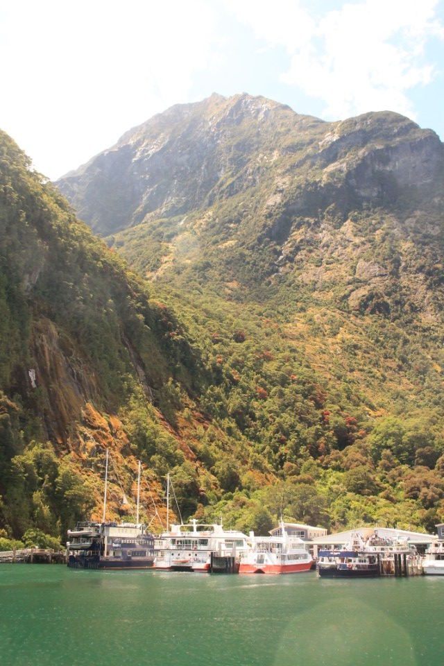 The Jetty Milford Sound