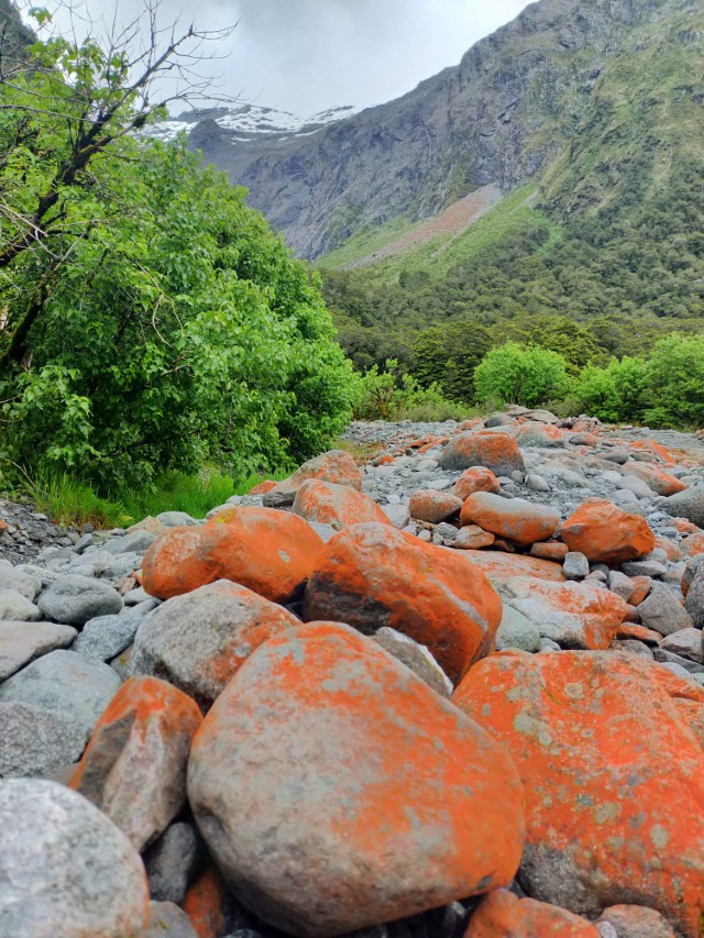Rusty rocks at Monkey Creek