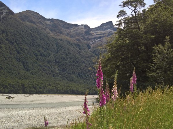 Exploring New Zealand’s South Island : Our Campervan Adventure Part&nbsp;9