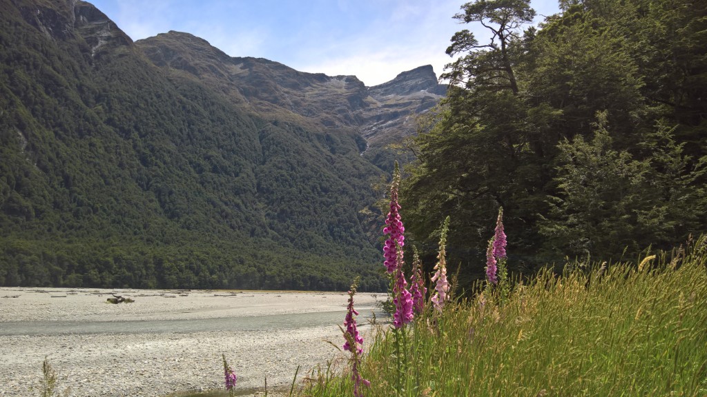 Exploring New Zealand’s South Island : Our Campervan Adventure Part&nbsp;9